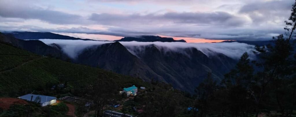 Kolukkumalai Jeep Safari | Kolukkumalai Hills Jeep Safari | Sunrise Safari in Kolukkumalai | Tea Plantation Jeep Safari | Off-road Adventure Kolukkumalai | Jeep Safari in Kolukkumalai | Kolukkumalai Wildlife Jeep Safari | Scenic Jeep Safari Kolukkumalai | Kolukkumalai Hill Station Jeep Safari | Adventure Tourism Kolukkumalai | Jeep Safari Tours Kolukkumalai | Explore Kolukkumalai by Jeep | Kolukkumalai Jeep Trek | Nilgiri Hills Off-road Adventure | Kolukkumalai Safari Tours | Jeep Safari Experience Kolukkumalai | Kolukkumalai Jeep Ride | Hill Safari Kolukkumalai | Tea Garden Jeep Safari | Kolukkumalai Adventure Activities | Jeep Safari Packages Kolukkumalai | Kolukkumalai Tourist Attractions | Nilgiri Hills Safari | Kolukkumalai Travel Packages | Jeep Safari in Nilgiri Hills | Kolukkumalai Off-road Tours | Adventure Travel Kolukkumalai | Kolukkumalai Jeep Expedition | Scenic Drive Kolukkumalai | Kolukkumalai Nature Safari | Jeep Safari Holidays Kolukkumalai | Kolukkumalai Tent Camping | Camping in Kolukkumalai | Tent Stay Kolukkumalai | Kolukkumalai Campsite | Nilgiri Hills Camping | Kolukkumalai Adventure Camping | Tent Accommodation Kolukkumalai | Camping Packages Kolukkumalai | Kolukkumalai Outdoor Camping | Nature Camping Kolukkumalai | Kolukkumalai Trekking and Camping | Campfire Kolukkumalai | Stargazing Kolukkumalai | Kolukkumalai Budget Camping | Luxury Tent Camping Kolukkumalai | Kolukkumalai Camping Sites | Tent Camping in Nilgiri Hills | Kolukkumalai Campground | Adventure Camping Kolukkumalai | Kolukkumalai Tent Stay Options | Camping in Tea Gardens Kolukkumalai | Kolukkumalai Budget Camps | Luxury Camping Kolukkumalai | Kolukkumalai Camping Packages | Group Camping Kolukkumalai | Solo Camping Kolukkumalai | Family Camping Kolukkumalai | Kolukkumalai Campfire Facilities | Stargazing Camps Kolukkumalai | Nature Escape Camping Kolukkumalai | Kolukkumalai Tour Packages | Local Sightseeing Packages | Kolukkumalai SightseeingTours | Nilgiri Hills Tour Packages | Tea Garden Tour Packages | Kolukkumalai Adventure Packages | Camping Tour Packages Kolukkumalai | Trekking Tour Packages Kolukkumalai | Jeep Safari Tour Packages | Kolukkumalai Sightseeing Packages | Kolukkumalai Holiday Packages | Kolukkumalai Travel Packages | Kolukkumalai Budget Tour Packages | Luxury Tour Packages Kolukkumalai | Group Tour Packages Kolukkumalai | Solo Traveler Packages Kolukkumalai | Family Tour Packages Kolukkumalai